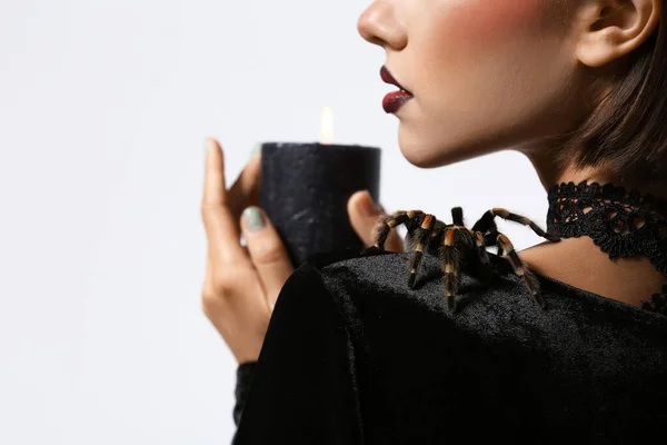 Young Witch Candle Spider Light Background Closeup — Stock Photo, Image