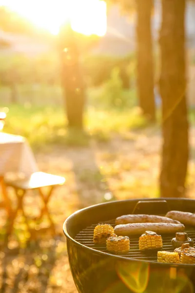 Parrilla Barbacoa Moderna Con Sabrosa Comida Aire Libre —  Fotos de Stock