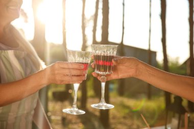 Olgun kadınlar yaz günü barbekü partisinde şarap içerler.