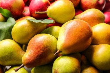 Armut olarak olgun armutlar ve elmalar