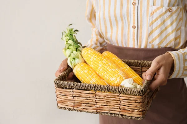 Woman Holding Basket Fresh Corn Cobs Light Background — Stock Photo, Image