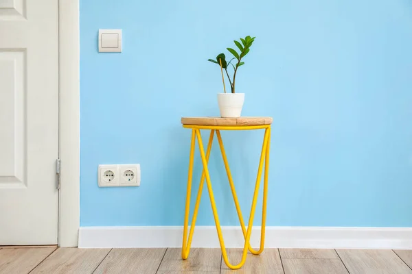 Tisch Mit Zimmerpflanze Nahe Farbwand — Stockfoto
