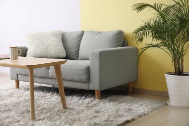 Rahat kanepesi olan şık bir oturma odası.