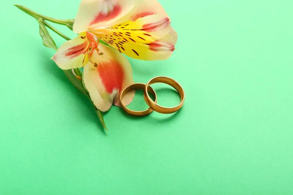 Par Anillos Boda Flor Alstroemeria Sobre Fondo Color Primer Plano —  Fotos de Stock