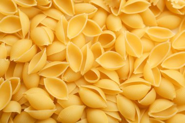 Arka planda pişmemiş conchiglioni makarna