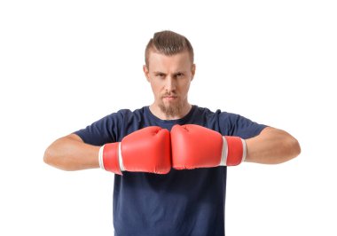 Beyaz arkaplanda yakışıklı boksör