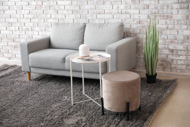 Rahat kanepesi olan şık bir oturma odası.