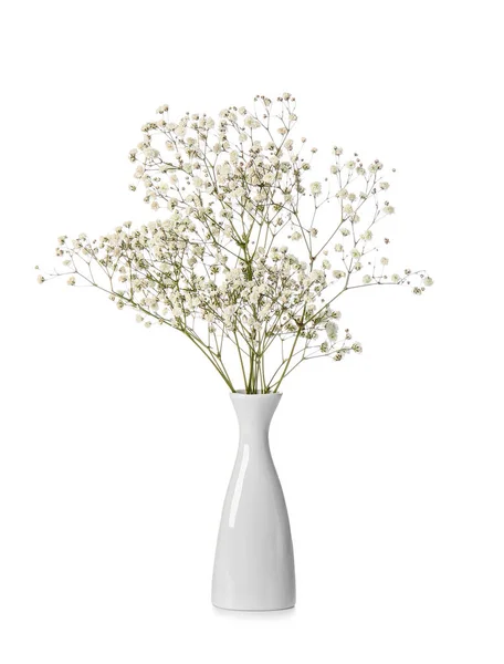 Hermosas Flores Gypsophila Jarrón Sobre Fondo Blanco — Foto de Stock