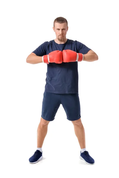 Handsome Boxer White Background — Stock Photo, Image