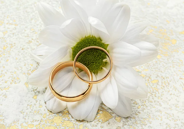 Pair Wedding Rings Chamomile Flower Color Background — Stock Photo, Image