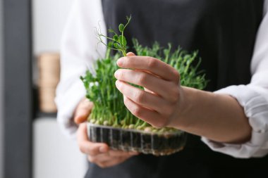 Evinde mikro yeşili olan bir kadın, yakın plan.