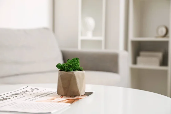 部屋のテーブルの上に装飾的な緑の苔と新聞付きの鍋 — ストック写真