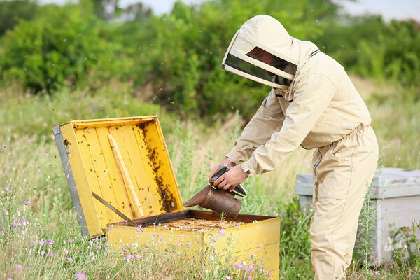 Female beekeeper working at apiary
