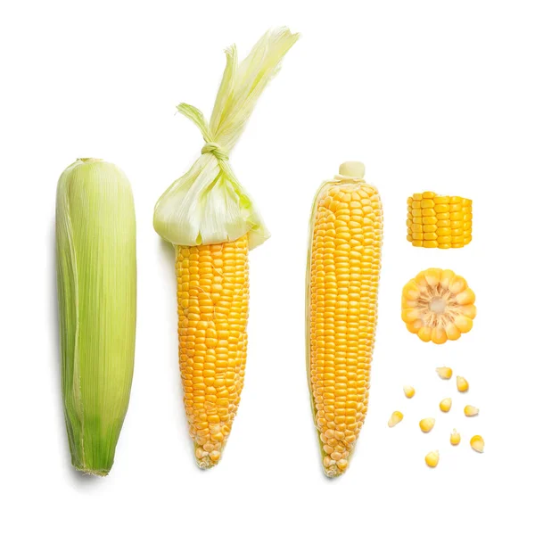 Fresh Corn Cobs White Background — Stock Photo, Image