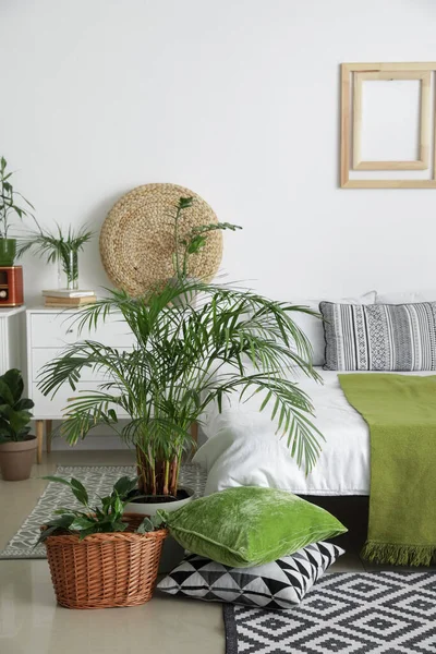 有植物的时髦卧室的内部 — 图库照片