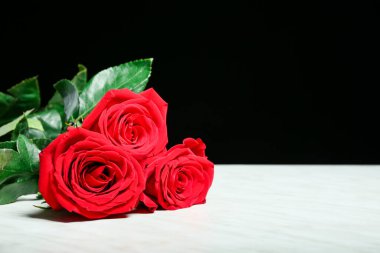 Siyah beyaz arka planda güzel güller