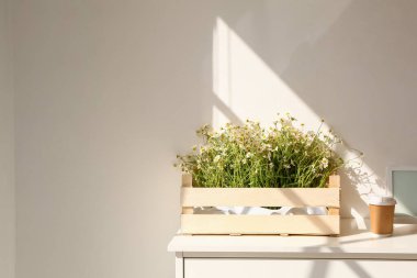 Papatya çaylarıyla dolu bir kutu ve rafta bir fincan kahve.