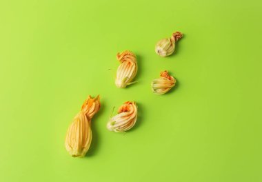 Renkli arkaplanda kabak çiçekleri