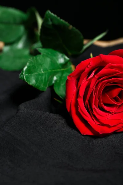 Beautiful Rose Fabric Table Closeup — Stock Photo, Image