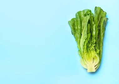 Renkli arkaplanda taze romaine marulu