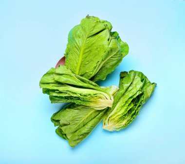 Renkli arkaplanda taze romaine marulu