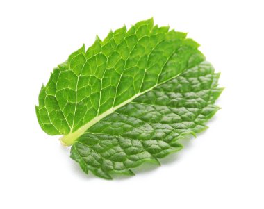 beyaz zemin üzerine taze nane yaprağı