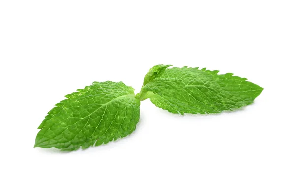 Verfrissende Groene Muntblaadjes Witte Achtergrond — Stockfoto