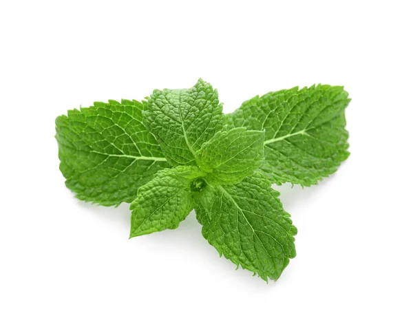 Refreshing Green Mint Leaves White Background — Stock Photo, Image