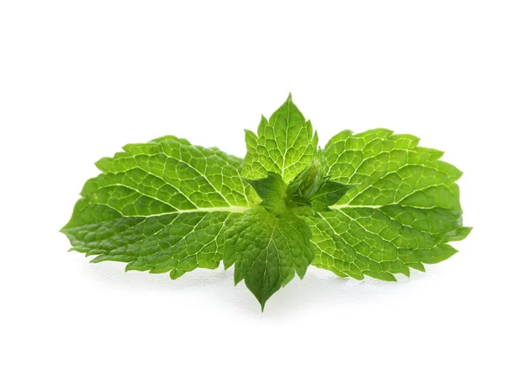 Hojas Menta Verde Refrescante Sobre Fondo Blanco — Foto de Stock