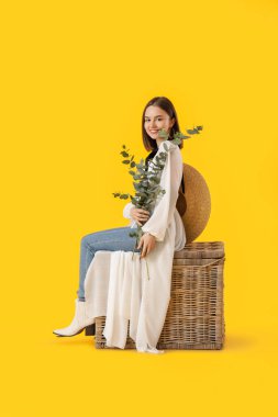 Okaliptüs dalları olan güzel genç bir kadın renk arka planına karşı hasır kutuda oturuyor.