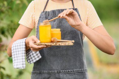 Arı kovanında bal taşıyan dişi arıcı.