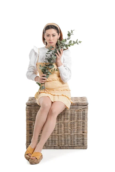 Beautiful Young Asian Woman Eucalyptus Branches Sitting Wicker Box White — Stock Photo, Image