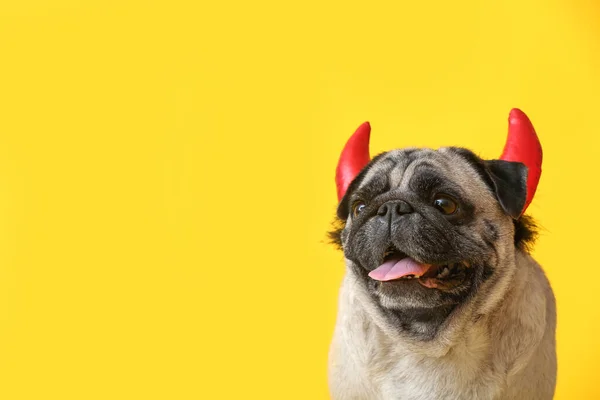 Симпатичная Собака Мопс Декором Хэллоуина Цветном Фоне — стоковое фото