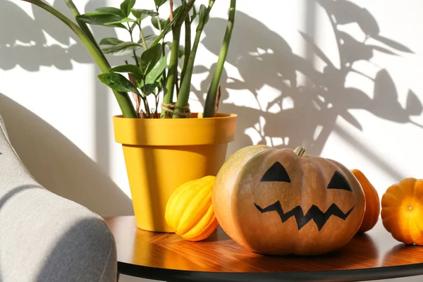 Halloween Pumpkins Houseplant Table Room — Stock Photo, Image