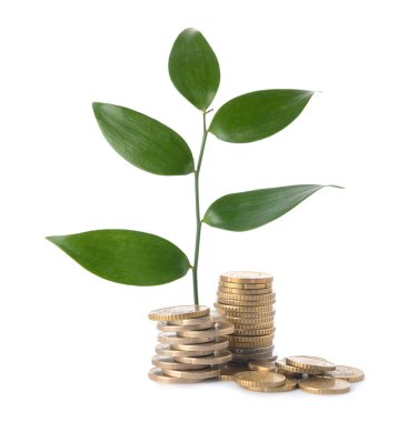 Beyaz arkaplanda yeşil yapraklı sikkeler