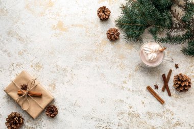 Bir fincan sıcak kakao, hediye kutusu, köknar dalı ve arka planda koniler.