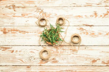 Beyaz arkaplanda kenevir yapraklı iplikler