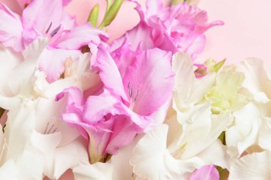 Renkli arka planda güzel gladiolus çiçekleri, yakın plan