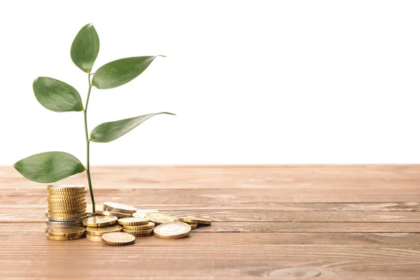 Coins Green Leaves Table White Background — Stock Photo, Image