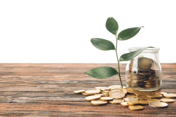 Jar Coins Green Leaves Table White Background — Stock Photo, Image