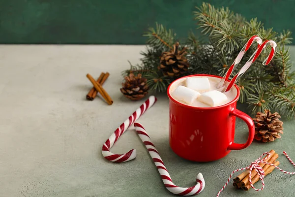 Composition Cup Hot Cocoa Drink Fir Branch Candy Canes Color — Stock Photo, Image