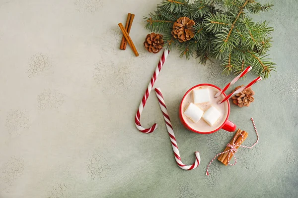 Cup Hot Cocoa Drink Fir Branch Candy Canes Color Background — Stock Photo, Image