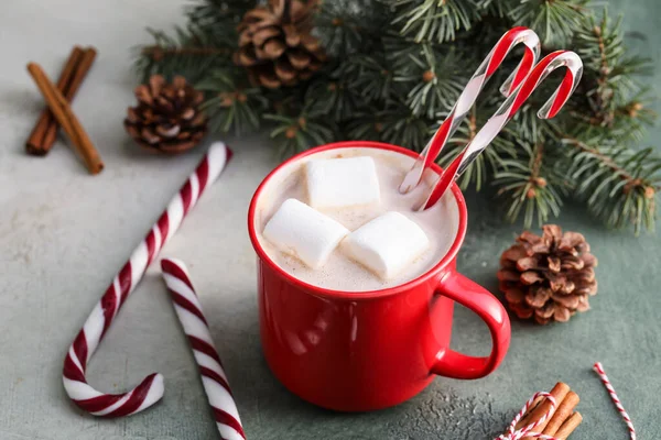 Composition Cup Hot Cocoa Drink Fir Branch Candy Canes Light — Stock Photo, Image