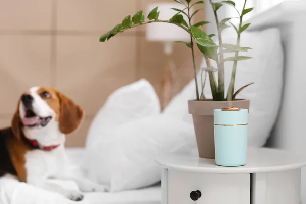 モダンな加湿器付きの部屋でかわいい犬 — ストック写真