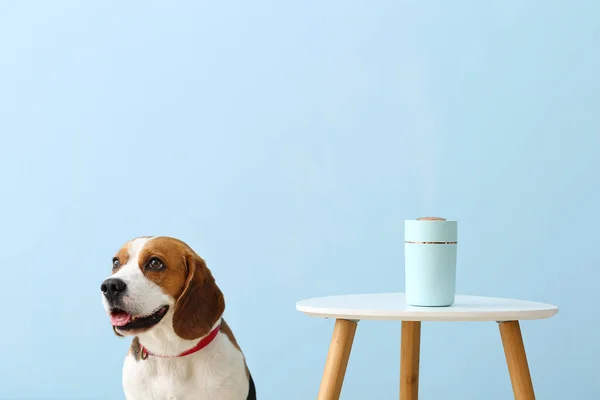Netter Hund Und Tisch Mit Modernem Luftbefeuchter Auf Farbigem Hintergrund — Stockfoto