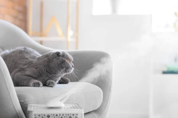 Cute Cat Room Modern Humidifier — Stock Photo, Image