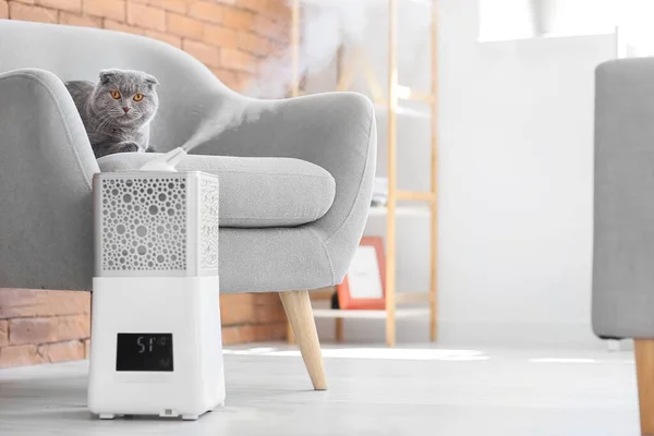Niedliche Katze Zimmer Mit Modernem Luftbefeuchter — Stockfoto