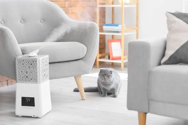 Niedliche Katze Zimmer Mit Modernem Luftbefeuchter — Stockfoto