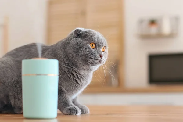 Modern Nemlendiricisi Olan Sevimli Bir Kedi — Stok fotoğraf