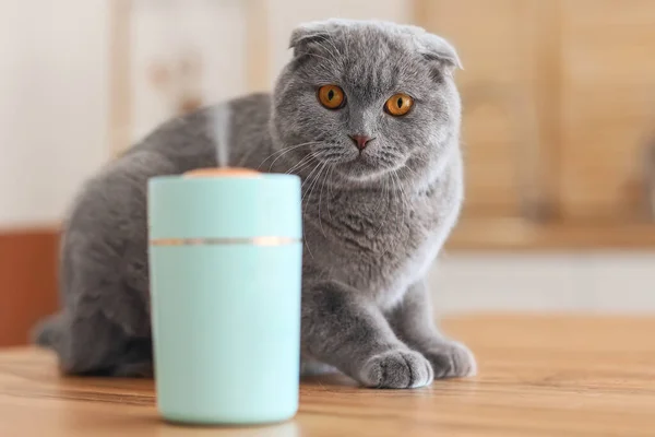 Cute Cat Room Modern Humidifier — Stock Photo, Image